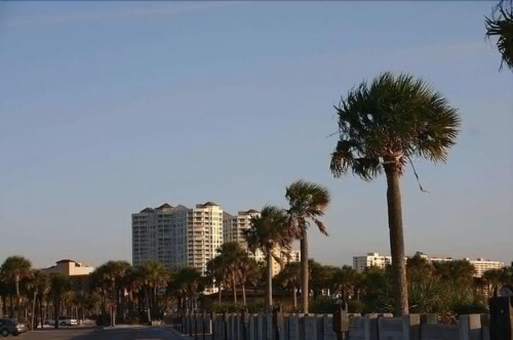 Hampton Inn Naples-Central Bagian luar foto