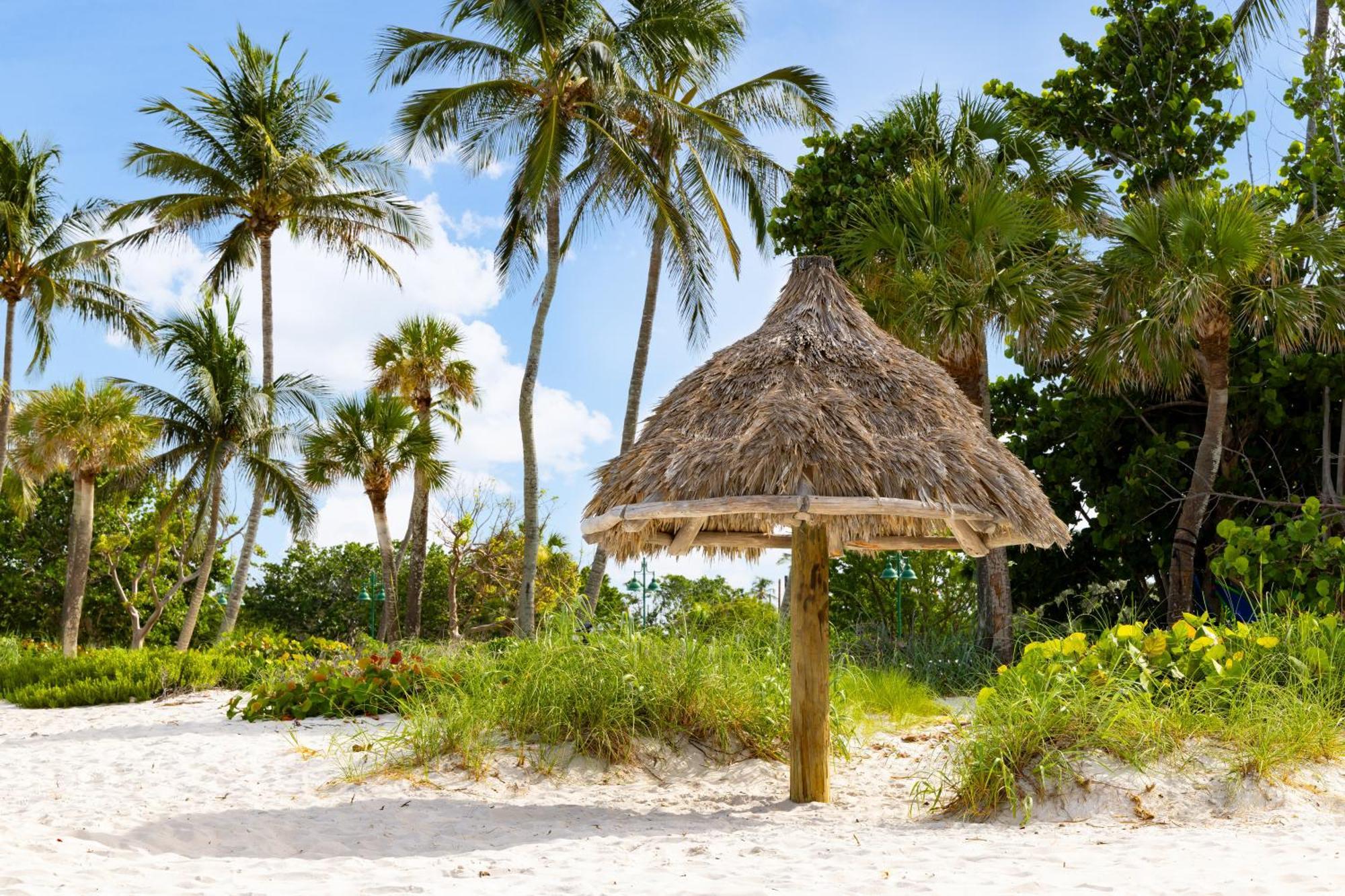 Hampton Inn Naples-Central Bagian luar foto