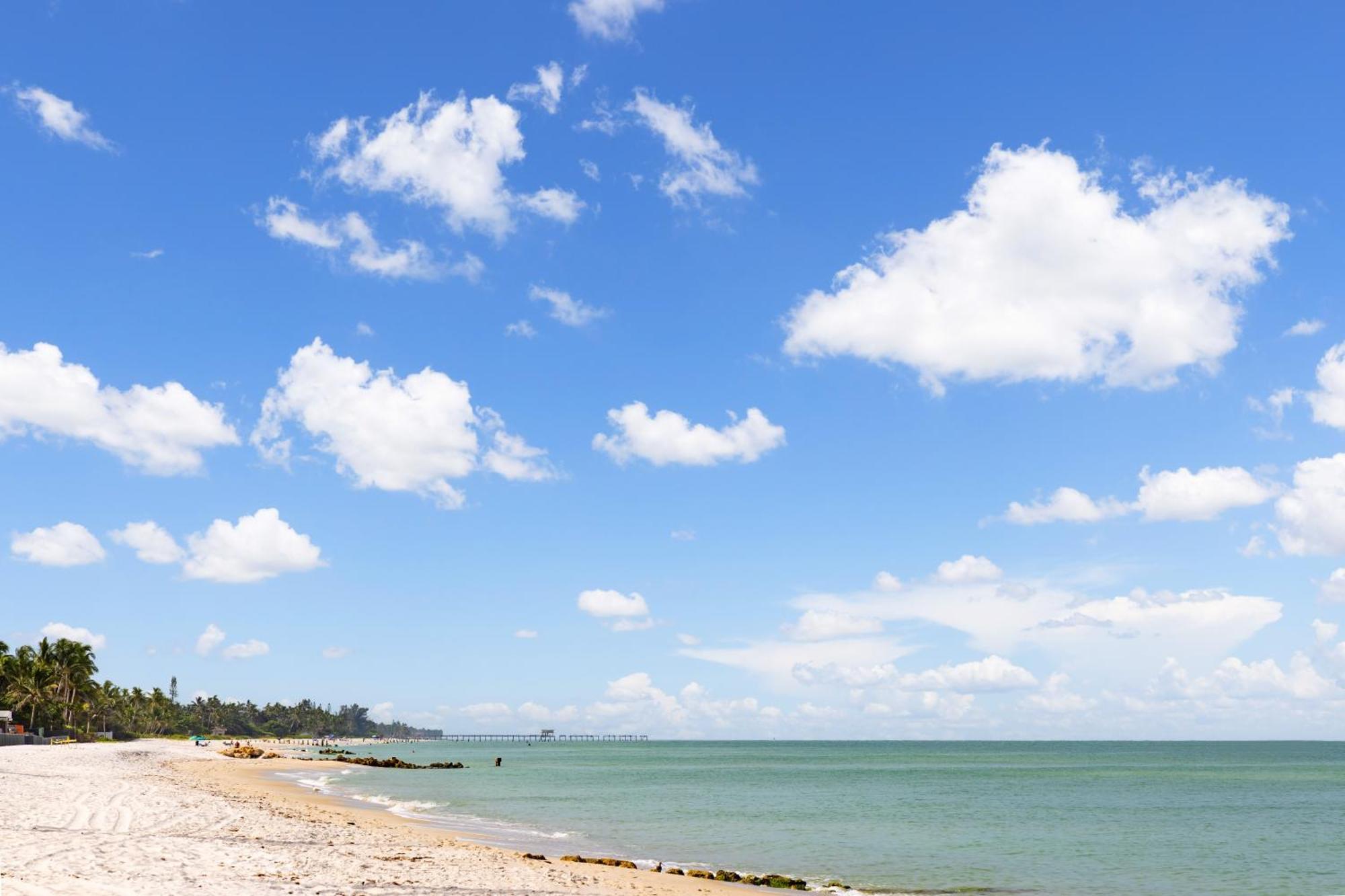 Hampton Inn Naples-Central Bagian luar foto