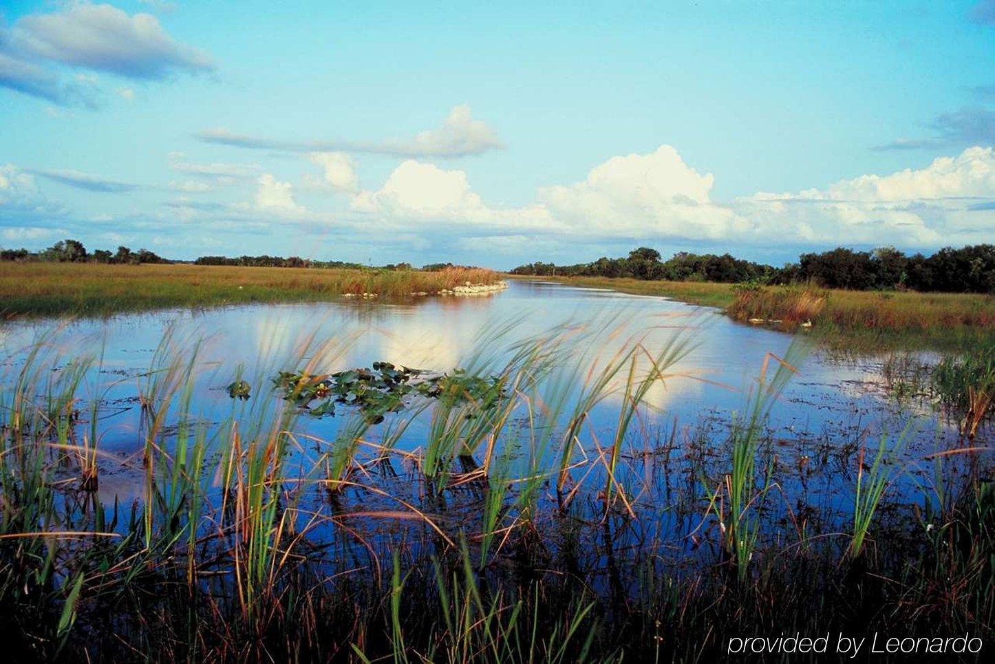 Hampton Inn Naples-Central Bagian luar foto